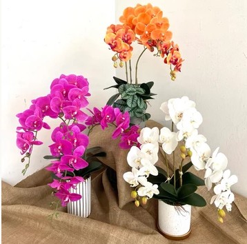 Ming Sing Flowers